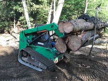 0 Various Extreme Duty Skid Steer Brush Grapple 80 Inch