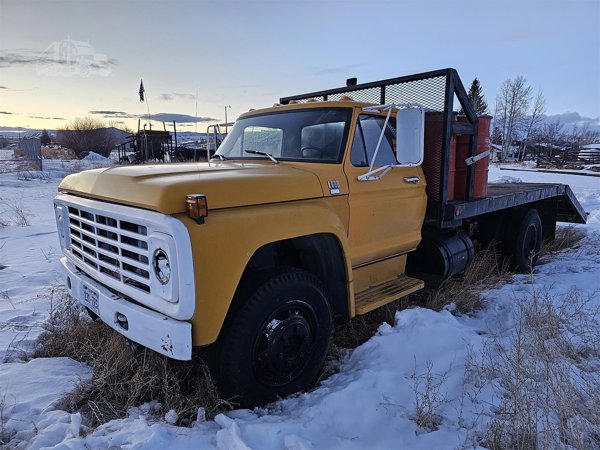 1980 Ford F600